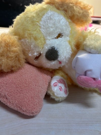 任意门第三单 超级可爱的甜梦饼饼