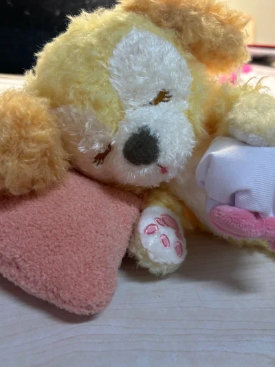 很可爱s的甜梦饼饼 东迪的仔胖嘟嘟的 挖煤姬包装的很严实 牌也没有弯曲也没有别的损伤 走的竹蜻蜓物流也很快 很满意的购物体验