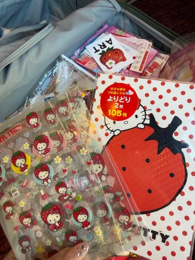 挖煤姬上淘日本中古Hello Kitty的体验真的太惊喜了！App操作简单明了，商品页的瑕疵标注得非常清楚，收到货后完全没有“货不对板”的担心。我选择海运物流，速度比预想的快，不到一个月就收到了，而且仓库打包特别用心，包裹裹得严严实实，商品完好无损。价格也比国内代购...