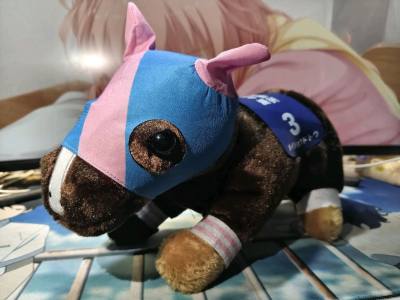 任意门购物体验