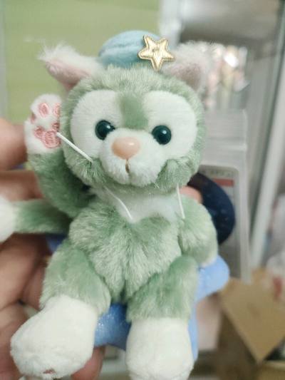 可爱的托尼猫到家了，这次合单的时间有点长，希望挖煤姬能缩短合单时间，尽快让我们的宝贝回家，托尼成色好，无瑕疵，特别满意