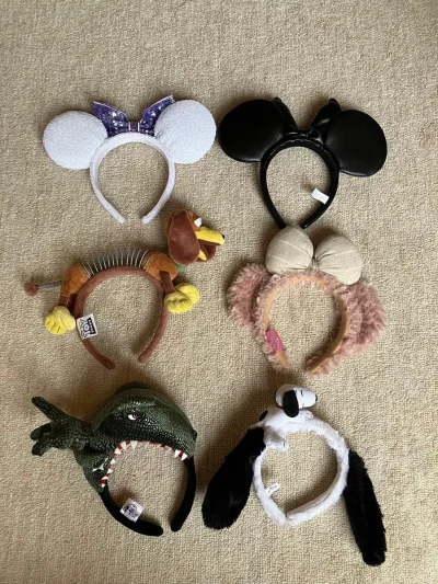 这次依旧切的是迪士尼周边，一直想买弹簧狗发箍终于蹲到一个合适的好价捆物～非常满意?还有一些其他迪的周边，依旧走的海运，二十多天到手，速度也还可以安全抵达～