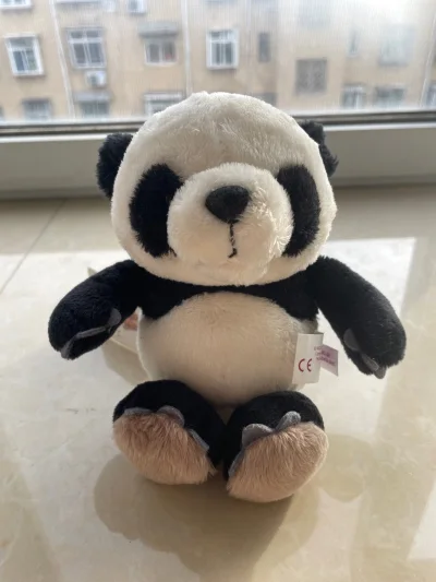 第一次参与日拍，体验十分丝滑。挖煤姬出价很及时，被超过也会马上提醒，最终也是在心理价之内美美拿下。选择了海运以为要等很久，但20天就收到了，真是太惊喜了。