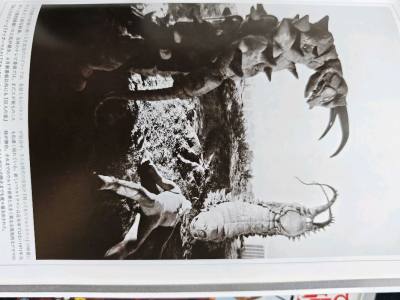   一份让人安心的实惠。走进日淘，首先映入眼帘的是一排排整齐的货架，每一件商品都像是在诉说着它的故事。这里的选品标准简单却严格：实用、耐用、价格合理。
  在这里，我体会到了许久未有的轻松与自在。没有了促销的喧嚣，没有了价格的陷阱，只有商品本身的价值。 
  这些细...