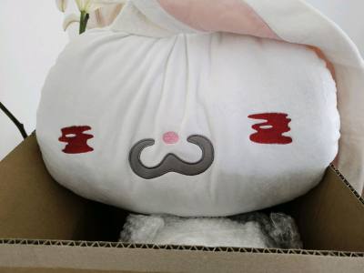 通过挖煤姬在骏河屋上切到了喜欢的泛用兔和兔丸玩偶，都非常非常可爱状态也很好，包装很结实到手上没有破损。