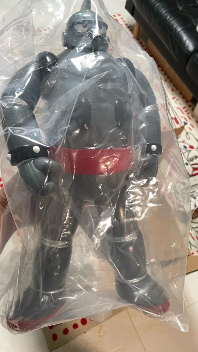 大件也完好的运回来了，虽然运费有点贵，但也算圆梦了。很可爱的机器人sofubi。希望后面可以优化体积重的计算方式。