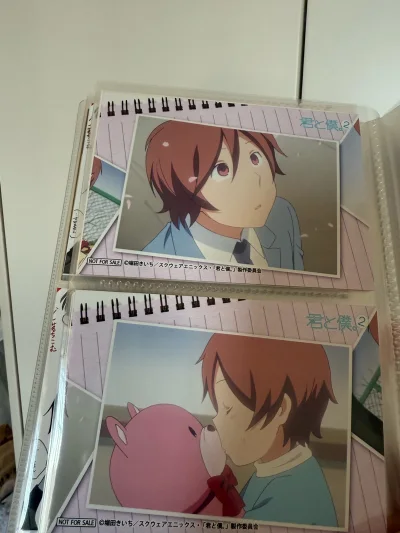 老二次元真的会因为情怀念旧去重温上学时候的作品 结果就是激情下单 把以前没机会吃到的全吃掉 这套君仆个人相卡国内稀有度就不说了 根本是集不齐 感谢樱花妹套出感谢挖煤姬代切 就这样省心省钱 我真的就再吃一小口就好了 小立牌志水雪老师的作品是ze当年不懂事 超好价卖掉了...