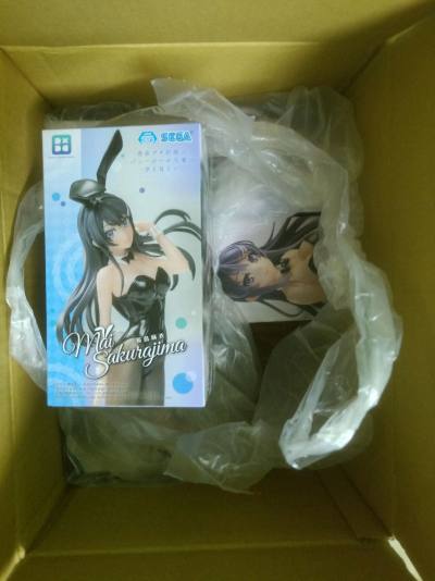 顺利到手，动画第二季播出后，忍不住又海淘下单，收藏一些樱岛麻衣的手办，麻衣真是太美啦，动画也超好看。