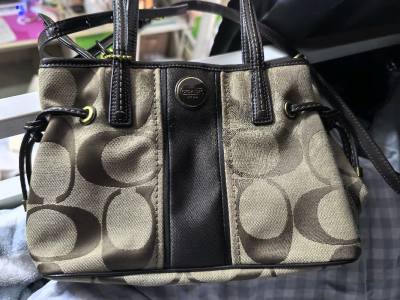 这次就买了一个运回来，依旧是用的小航空。之前几次也是感觉特别快就10天。然后宝宝也比我想象中的漂亮。还以为随便选的就一般呢。没想到实物特别美。