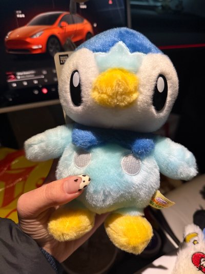 太可爱了感谢老板出物，玩偶很干净，包装的非常好每个玩具都用小袋子装好，玩具都非常新，还有宝可梦中心的皮卡丘购物袋！好评好评！