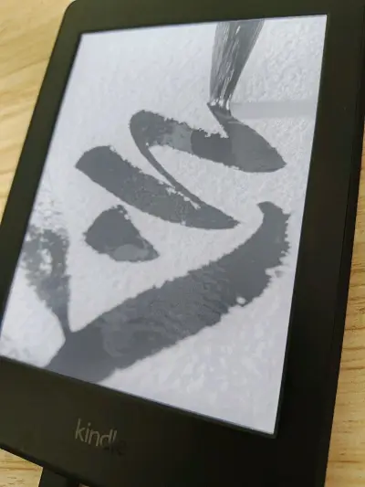 这次入手了台报废的kpw3，抱着能不能自己鼓捣的心态购入，结果还是太高估自己了哈哈哈，成色倒是还行。物流方面挺给力，我选择的是EMS路线，物流状态更新及时，完全不用担心包裹到哪里了。客服响应速度也很快。总的来说，这次海淘从商品品质、物流速度到服务态度，都挑不出什么毛...