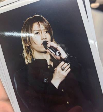 挖煤姬购物分享