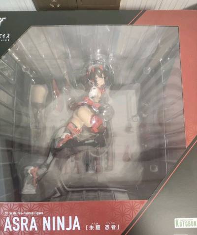 国内价格居高不下的超大朱罗忍者，在这里找到了，开心，本来价格相当实惠，天价重量 ，只用用竹MAX了，运费没想到的，唉，总得来说还是比国内便宜了一点，质量也不错，行吧