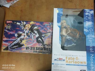 这次还是买了菲特的泳装手办以及一盒v.f.g的拼装机娘，都是国内可遇不可求的好东西。这次用竹蜻蜓合单发货，单件运费大幅度下降，到手核对了下，箱子内加固了包装，包裹结实没有任何损坏，让人非常放心，挖煤姬的购物体验是相当不错的，推荐兄弟们可以在上面看一看，转一转。