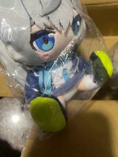 11.21号竹蜻蜓plus20天到家