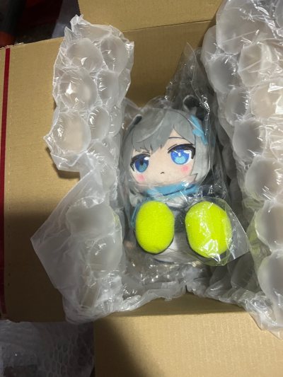 2号选的竹蜻蜓，卖家打包的很好，很坚固，国际运费也便宜，36，返了我3元，安全到达，白子回家，很爱挖煤姬