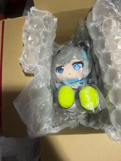 2号选的竹蜻蜓，卖家打包的很好，很坚固，国际运费也便宜，36，返了我3元，安全到达，白子回家，很爱挖煤姬