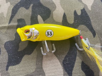 这次购物非常愉快，产品质量出色，包装完善，快递速度也很快，店家的客服态度极佳，耐心周到，让人感到非常贴心，商品性价比高，质量上乘，我很满意！