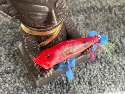 店铺的物品非常齐全，让人感到放心和满意商品质量超乎预期，价格也非常合理，在这家商店购物，体验新颖有趣，店铺特色鲜明，仓库发货迅速，快递也很给力没几天就收到了！