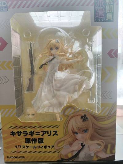 门的第N次手办购买之旅