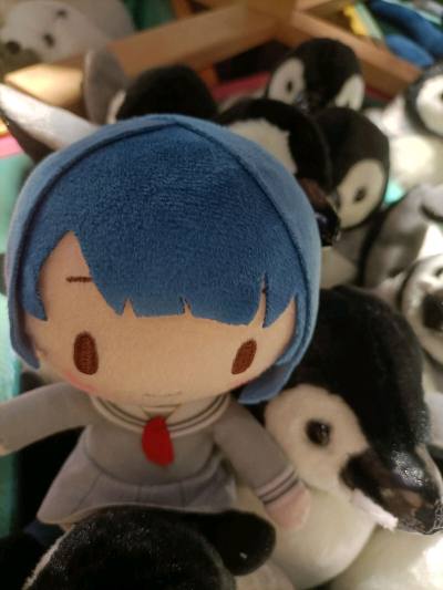 非常好用的一款切煤app，已经在里面代购了不少周边了，还淘到一些优惠好物。app的搜索功能清晰，代购也省心，国际物流也很快。