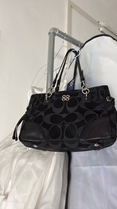 新一波包包到货