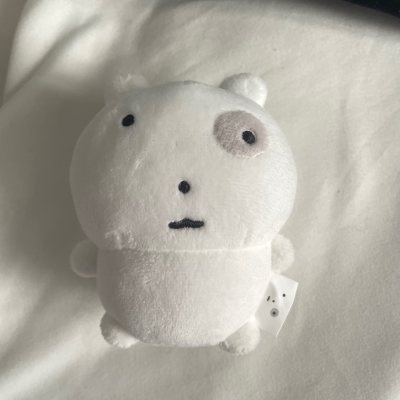 这次买了喜欢了很久的一个挂件，国内代购之前都因为运费的问题不接这一款，所以去任意门闪电市场上面成功购买到了，特别q弹可爱 很喜欢，kr线速度也挺快的，最喜欢黑眼圈小狗了