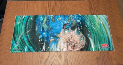 竹蜻蜓plus初体验