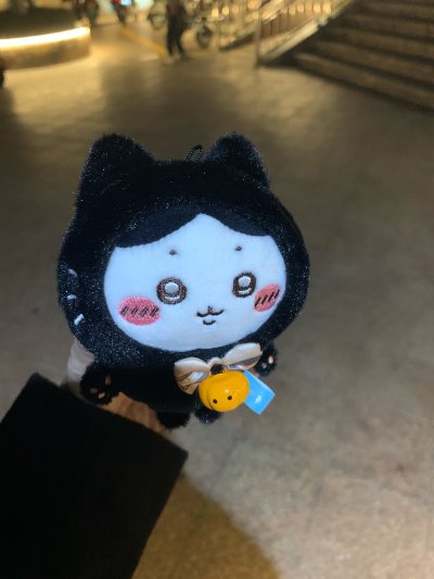 好价吃到的黑猫小八
选择的是竹蜻蜓线，耗时：8.13号提交审核，9.1号审核通过，9.2号国际物流发货，9.13号正式到手。（这次合单有点久…