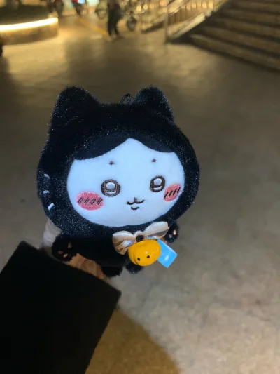 好价吃到的黑猫小八
选择的是竹蜻蜓线，耗时：8.13号提交审核，9.1号审核通过，9.2号国际物流发货，9.13号正式到手。（这次合单有点久…