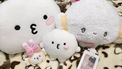 小麦精灵到啦～