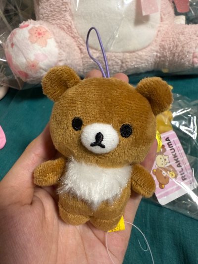 想咨询卖家到付的运费，因此申请留言。留言非常及时，有问题也可以通过提交工单的方式及时获得答复，提前对运费有了预期，避免时刻担心昂贵国内运费。非常满意