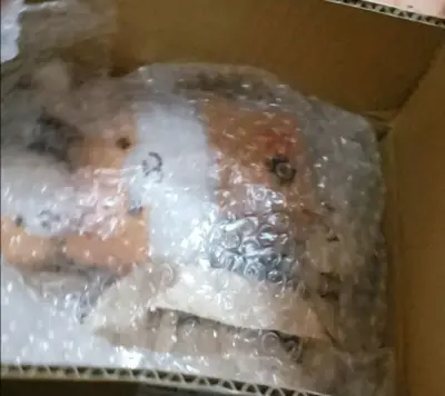 整个包裹保护都非常完美，泡泡纸什么的都有 ，运输速度快，而且在运输过程中也不需要有太大的担心，太完美的购物体验了，最贴心的其实是工作人员特意没有把娃娃放在正中间，这样子拆箱的时候还可以避免不小心被划到～我要一辈子爱挖煤姬～