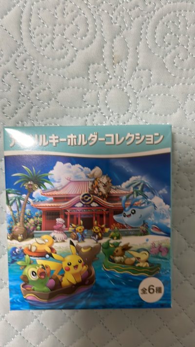 宝可梦 钥匙链 挂件盲盒 小型毛绒手办 sleep Pokemon 盲盒没有打开收藏，包装盒完好，感谢挖煤姬的代购