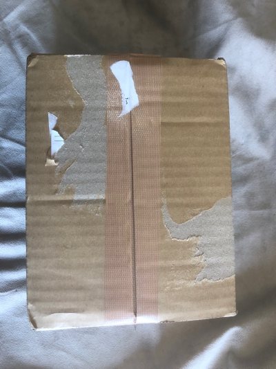 安全上岸又一单