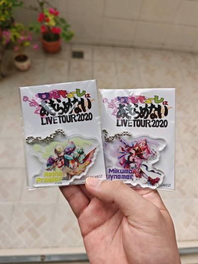 国内找的闪耀色彩努努代抓没抓到，只能到挖煤姬切现货，价格上和代抓相差不大还算能接受，还顺带便宜淘了些超时空要塞的挂件，蛮不错的