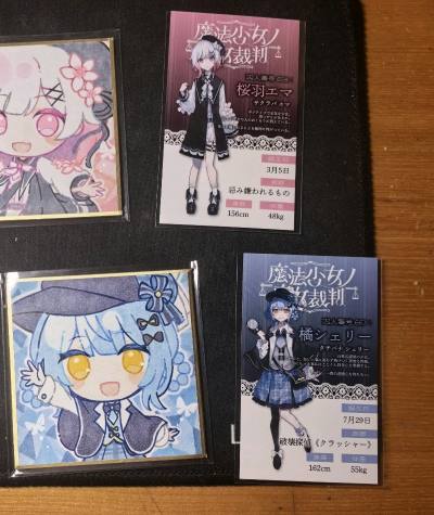 顺利地以好价拍到了想要的周边，使用的竹蜻蜓plus发货也比较快，东西到手的状态也比较好，购买的体验比较满意。