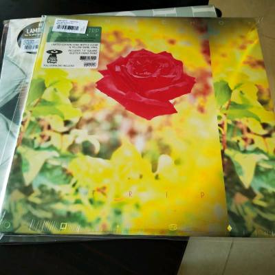 日淘第十 N +10弹