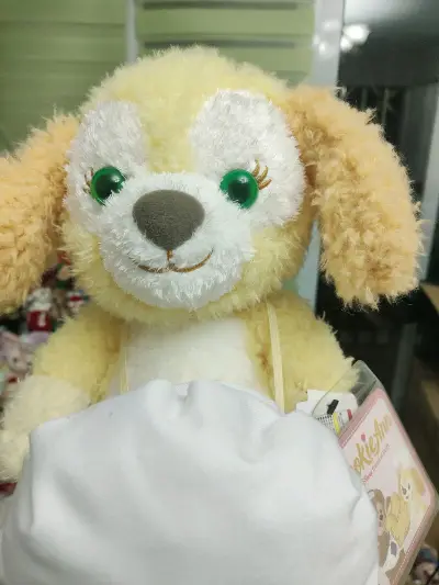 满满的一箱宝贝走到家了，孩子个个长的漂亮，衣服搭配的也很好，海运的速度也很快，大概15天就到了，感谢挖煤姬带宝贝们回家