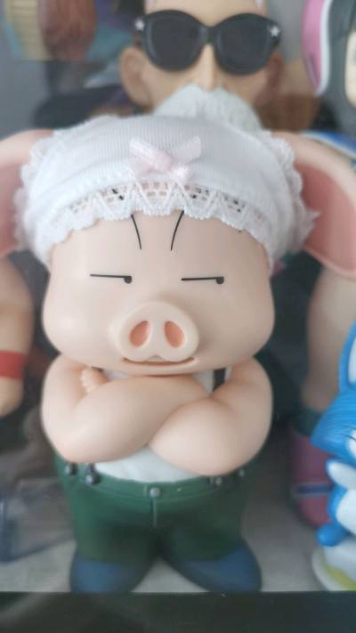 一番赏七龙珠修业篇D赏单个乌龙手办，商品与卖家描述一致没有瑕疵，卖家打包很好用的缓冲包装，轻便的同时又减少国际邮费。