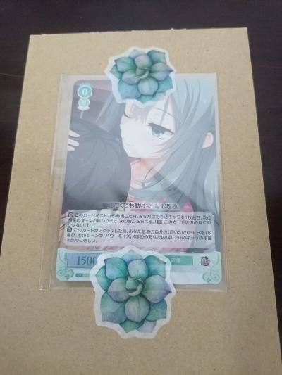 本来买的比另一个卡包要晚的，晚了好几天，结果这俩同时到的。
另一个选的还是日本物流，各种手续麻烦的不行，遇上周六周日审批还不上班。
反正我基本只淘淘周边，以后都选竹蜻蜓了。