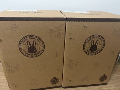 顺利收到西兰花兔啦~