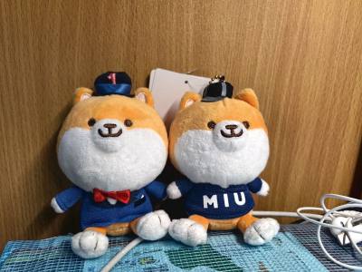 使用的竹蜻蜓物流包清关，很省心，直接坐等收快递就可以。里面的东西也完好无损，总而言之这是一次很愉悦的购物体验。