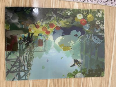 宝可梦文件夹 第第三弹