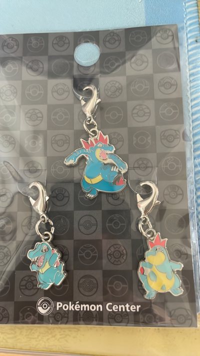 宝可梦 挂件 钥匙链二代开始收集，先从御三家开始买起，用挖煤姬软件带切的钥匙链全新未拆，都是最新版，非常好看，继续支持挖煤姬