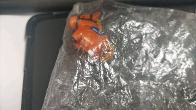 成如你所见，这一个栗色的橡胶小马，漂亮的，美丽的，是我推
走了挖煤姬捡了好价卷，我过五关斩六将，总之如此反正就这样收到了
好可爱，好喜欢，挖煤姬，相信