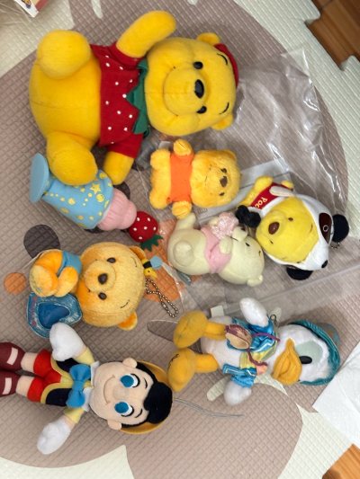 在挖煤姬购买很多次，总是能淘到非常不错东西，价格划算，运费便宜，这次淘到喜欢的玩偶，状态超好，包装也很好，选择竹蜻蜓专线运输，25天就到手，包装特别严实，服务不错。
又是一次愉快的开箱！