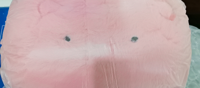 第一次切毛绒，切之前特别害怕国际运费爆炸，因为这个娃娃非常大，40cm左右，特别害怕运费比本体贵，不过还是切了，很幸运能走竹蜻蜓的路线，运费才30多，综合下来非常合算，拿到手超级舒服，包装也好，赞?