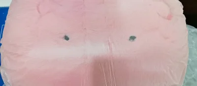 第一次切毛绒，切之前特别害怕国际运费爆炸，因为这个娃娃非常大，40cm左右，特别害怕运费比本体贵，不过还是切了，很幸运能走竹蜻蜓的路线，运费才30多，综合下来非常合算，拿到手超级舒服，包装也好，赞?