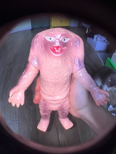 第一只sofubi